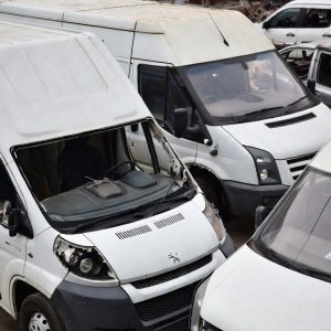 grok_image_1770438698879