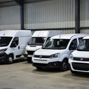 grok_image_1770438908791