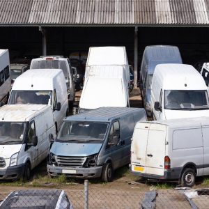 grok_image_1770439077154